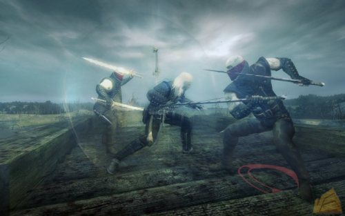 The Witcher