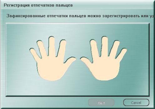 WINDOW_1.jpg