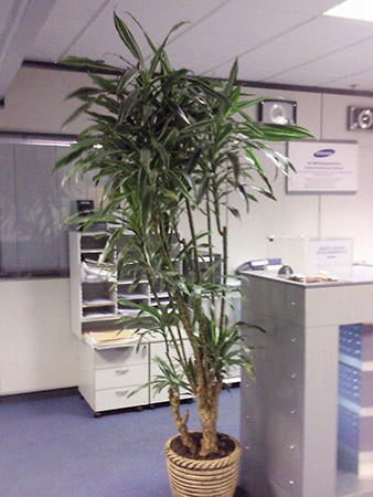 Photo0064_size.jpg