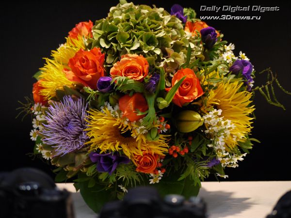 �������������� JPEG. �������� ������ Lumix G1