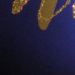 1crop200.jpg