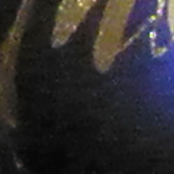 1crop201.jpg
