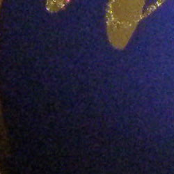 1crop205.jpg
