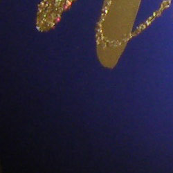1crop208.jpg
