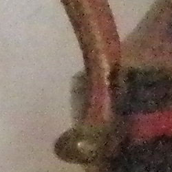 2crop203.jpg