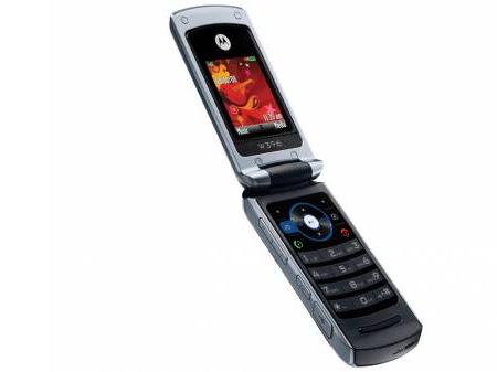 MOTOYUVA W396