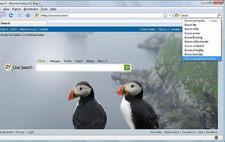 Microsoft adds fancy search option for Firefox.jpg