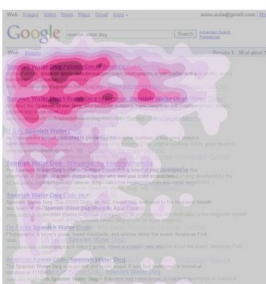 Google knows where your eyeballs go.jpg