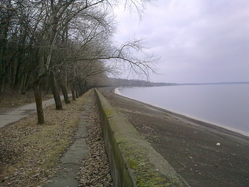 15032009013_resize.jpg