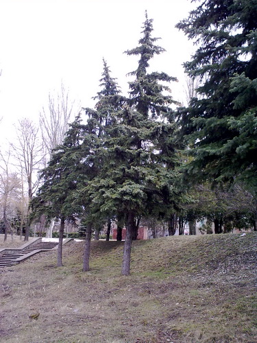 15032009014_resize.jpg