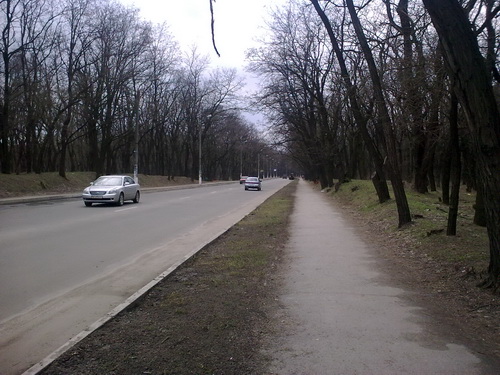 15032009017_resize.jpg