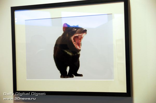 Вернисаж Sony World Photography Awards 2009