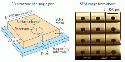 Electrofluidic Display Technology