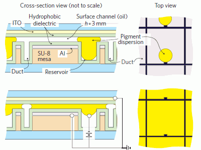 Electrofluidic Display Technology