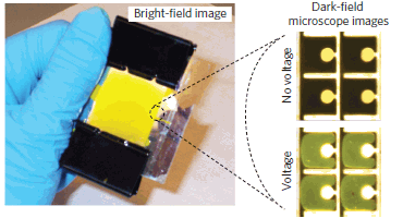 Electrofluidic Display Technology