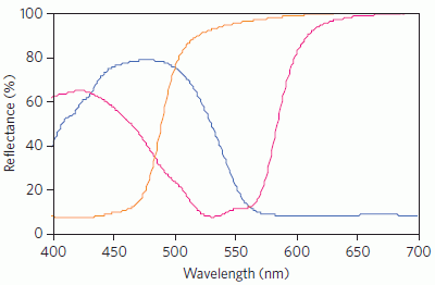 Electrofluidic Display Technology