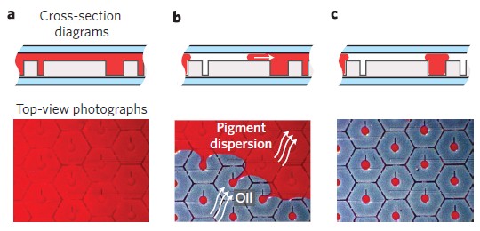 Electrofluidic Display Technology