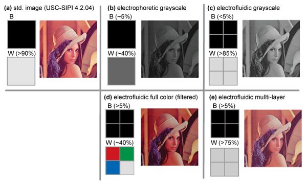 Electrofluidic Display Technology