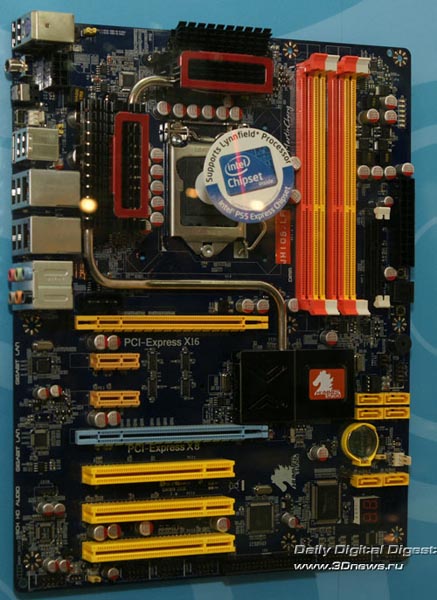 pic10.jpg