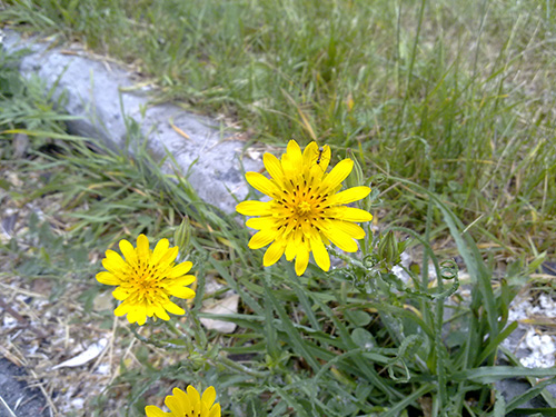 13062009066_resize.jpg