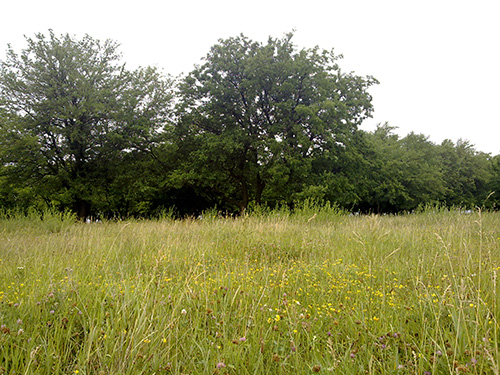 13062009067_resize.jpg
