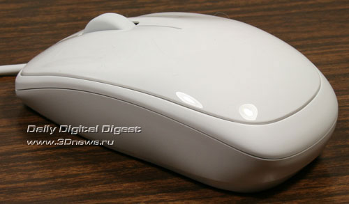 Mouse_Back.jpg