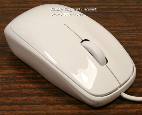 Mouse_Front.jpg