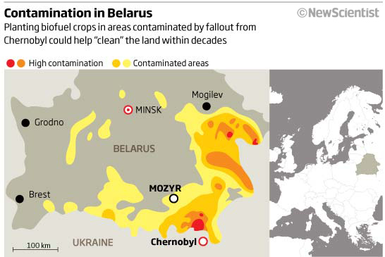 Ученые знают, как вернуть Чернобыльскую зону к жизни