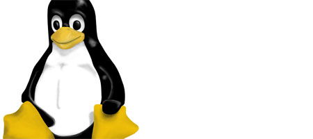 Символ Linux - пингвин