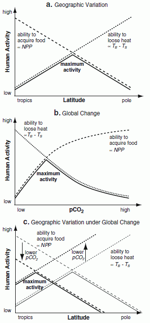 activity.gif