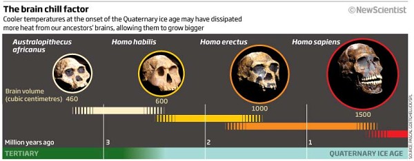 age.jpg