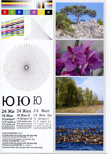 templates_3_photo_resize.jpg
