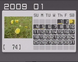 play_5.jpg