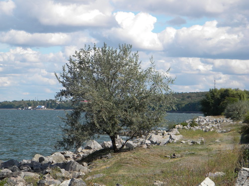 DSCN0977_resize.JPG