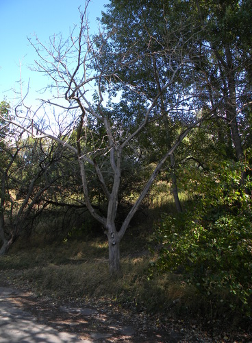 DSCN1012_resize.JPG
