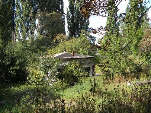 DSCN1013_resize.JPG