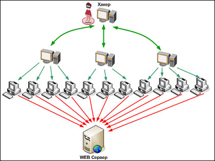 DDoS-�����