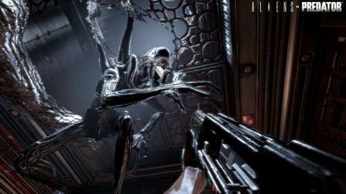 Aliens Vs. Predator