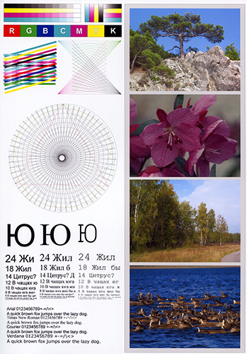 templates_3_photo_resize.jpg