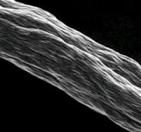 Волокно толщиной 50 мкм из нанотрубок