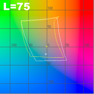l_75.jpg