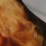 iso400_1.jpg