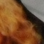 iso800_1.jpg