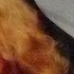 iso1600_1.jpg