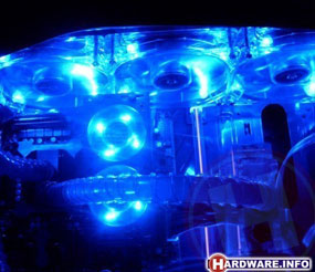 Cosmos Blue Motion Flow