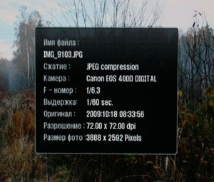 Menu_PlayerPhoto_2.JPG