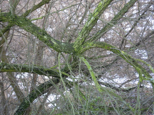 DSCN0877.JPG