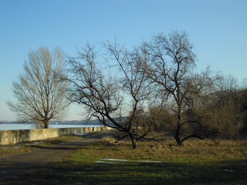 DSCN0878.JPG