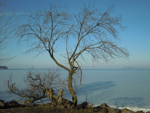 DSCN0881.JPG