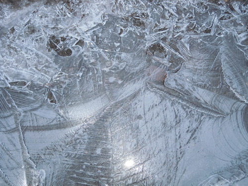 DSCN0888.JPG